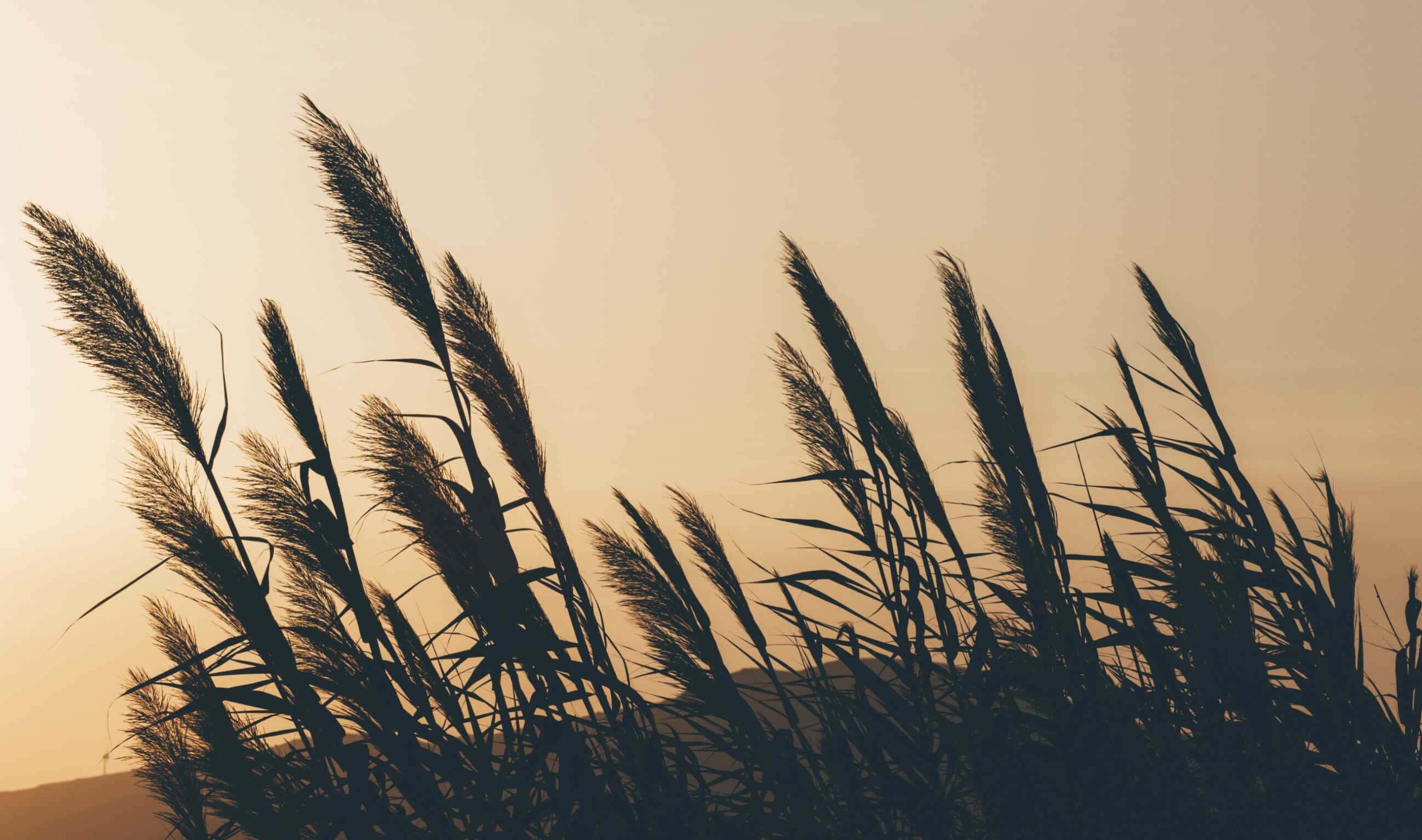 Winds of Change